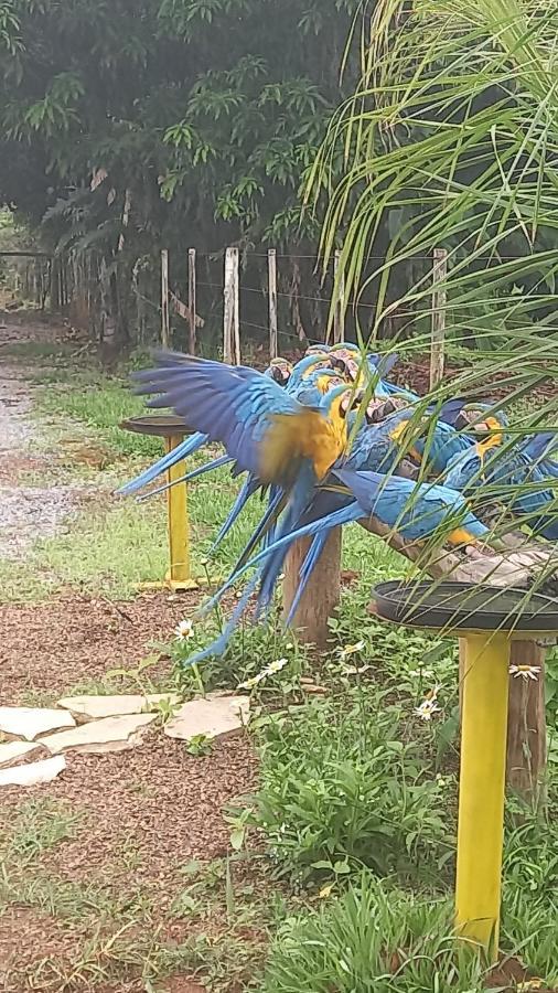Pousada Canto Dos Passaros Alto Paraíso de Goiás Екстериор снимка